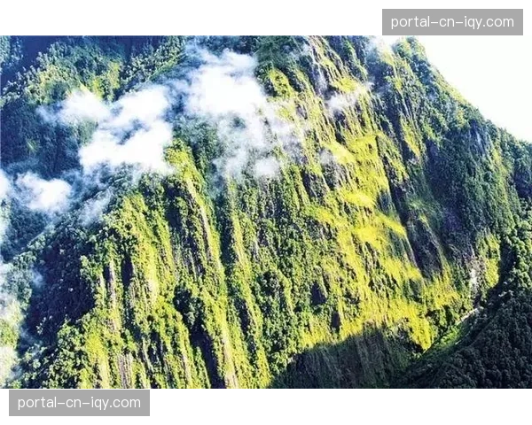 云端多路解压在本季度实现性能倍增,支撑起单场赛事数百路信号并发汇聚